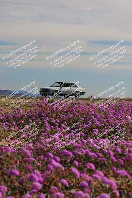 media/Jan-08-2023-SCCA SD (Sun) [[8f6a5b9391]]/Intermediate Group/Session 2 (Short Straight)/